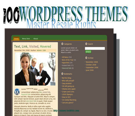 Product picture 100 Wordpress Templates