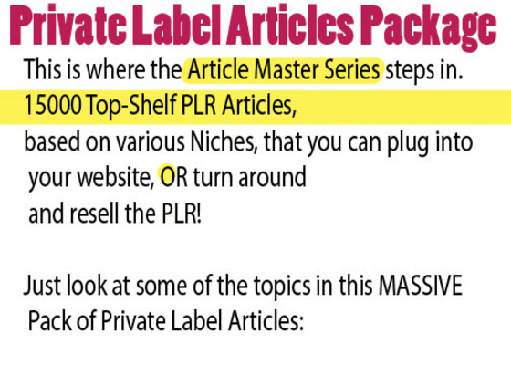 Product picture 1500 plr NICHE plr articles
