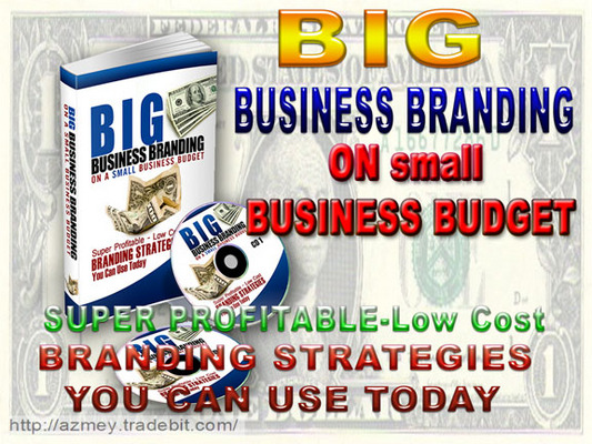 Product picture Big Business Branding On A Small Business Budget