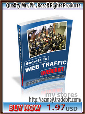Product picture Secrets to Web Traffic Overdrive