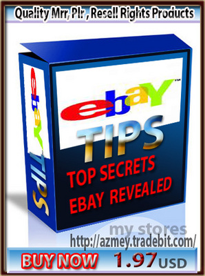 Product picture eBay Tips_PLR