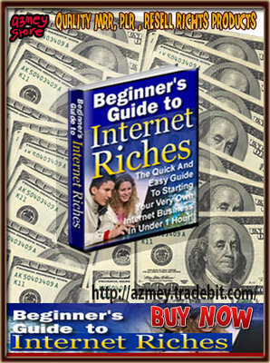 Product picture Beginner Guide To Internet Riches