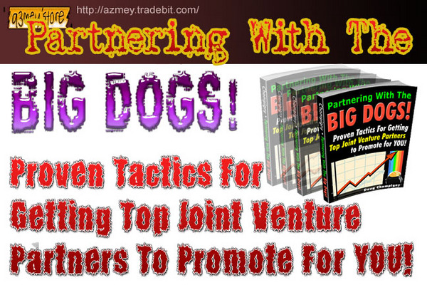 Product picture Partnering With the Big Dog