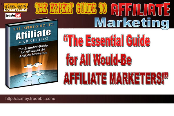 Product picture The Expert Guide to Affiliate Marketing
