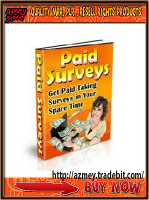 Product picture Paid survey Guide Ebook! 