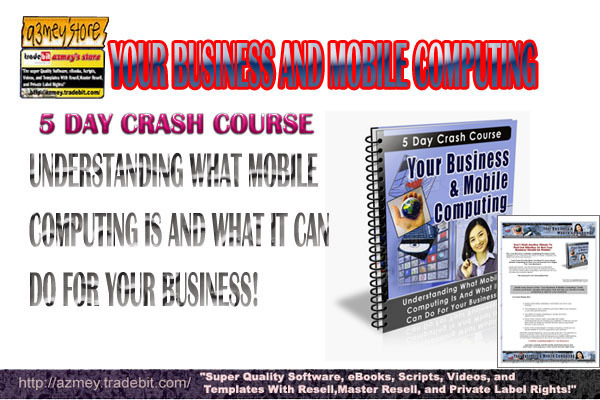 Product picture Your Business & Mobile Computing Crash Course